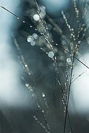 《勇者斗恶龙3 重制版》特典或暗示SE有意重制天空三部曲